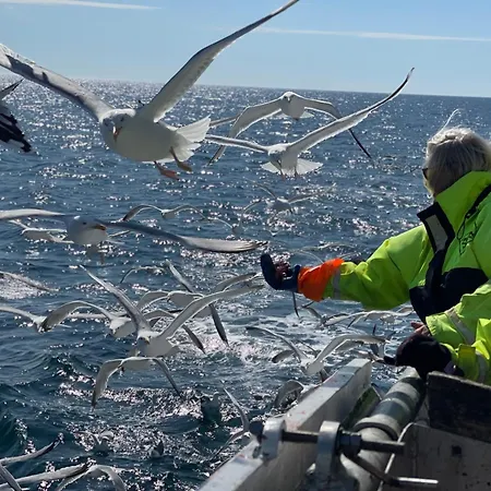 Aurora Bay Lofoten 罗弗敦极光湾海景顶层别墅 *