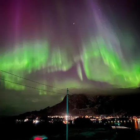 Villa Aurora Bay Lofoten 罗弗敦极光湾海景顶层别墅