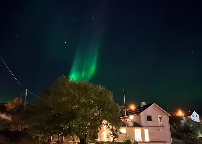 Aurora Bay Lofoten 罗弗敦极光湾海景顶层别墅 ヴィラ