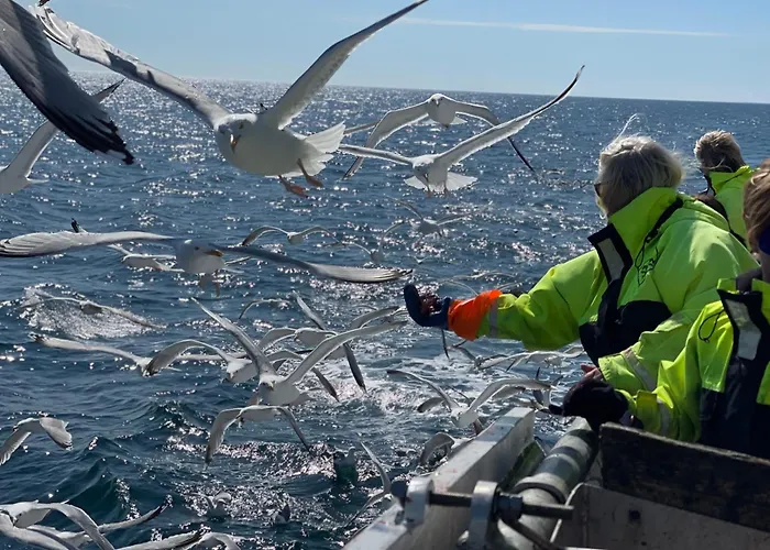 Aurora Bay Lofoten 罗弗敦极光湾海景顶层别墅 *