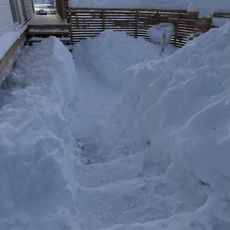 ヴィラ Aurora Bay Lofoten 罗弗敦极光湾海景顶层别墅