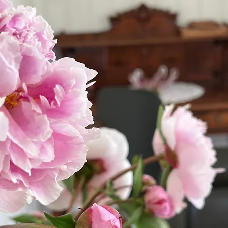 Aurora Bay Lofoten 罗弗敦极光湾海景顶层别墅 ヴィラ *