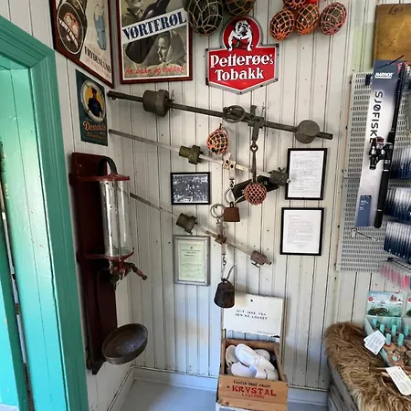 ヴィラ Aurora Bay Lofoten 罗弗敦极光湾海景顶层别墅 *