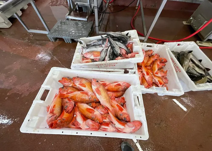 Aurora Bay Lofoten 罗弗敦极光湾海景顶层别墅 Sund (Nordland)